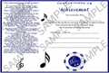 Mirror Image Achievement Certificate - Sample Preview